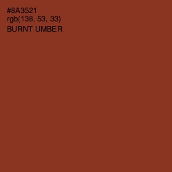 #8A3521 - Burnt Umber Color Image